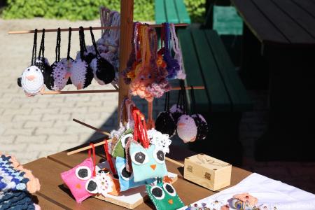 Piknik Društva Sožitje Kamnik (4)